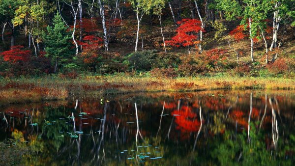 file_75460462