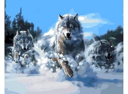 волки