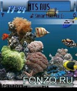 Marine Aquarium akd