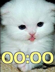 Котенок день ночь