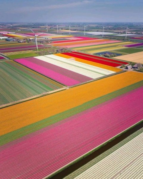 file_84679159