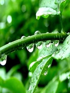 Rain Clock