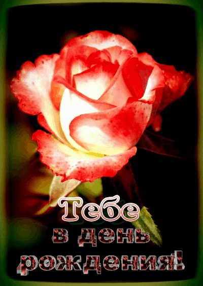 ТВДР