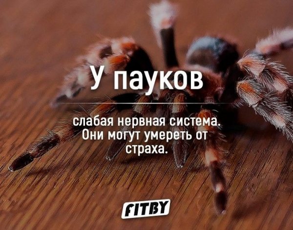 01bc2436bda3928987d20d51350a6d1e