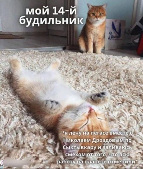 file_103443875