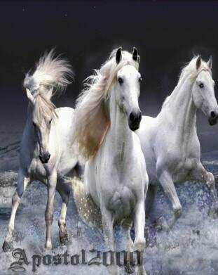 com.apw.beautifullhorse