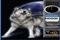 WolF.Ru