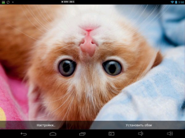 Kittens HD LWP Full 1.0