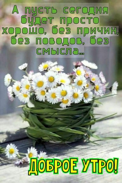 file_91023629