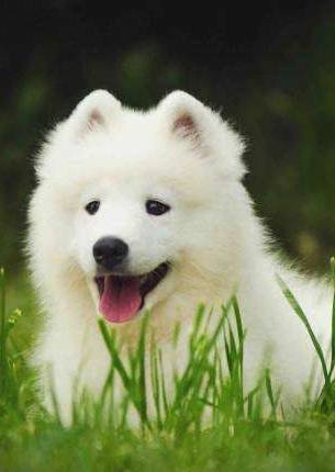 file_71388605