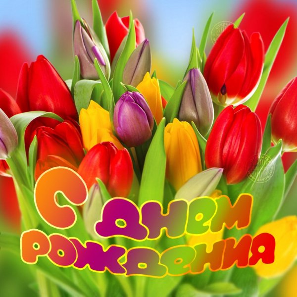 С днём рождения