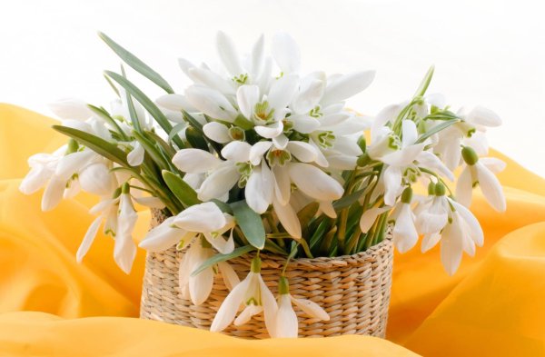 IMG-20250323-WA0020
