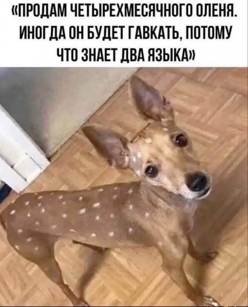 FB IMG 1751885013376