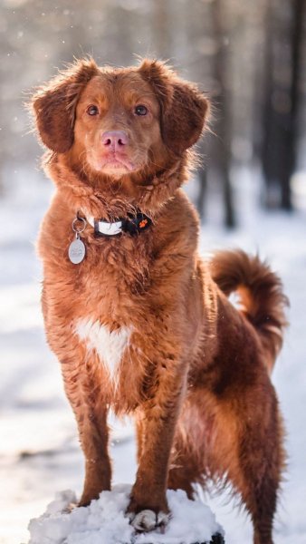 IMG 20240510 194151 938