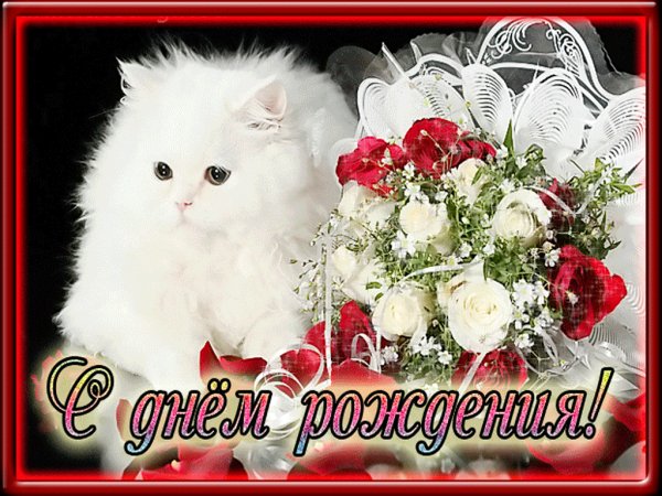 file_64916552