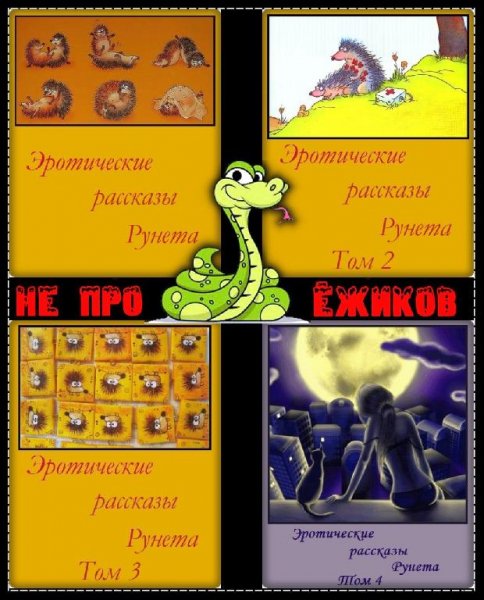 Эротические рассказы Рунета (1-4)