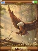 eagle49