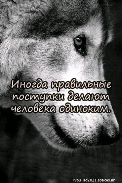 file_88451115
