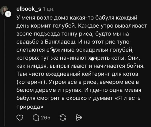 file_101475912