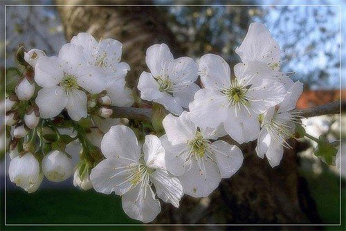 file_86407695
