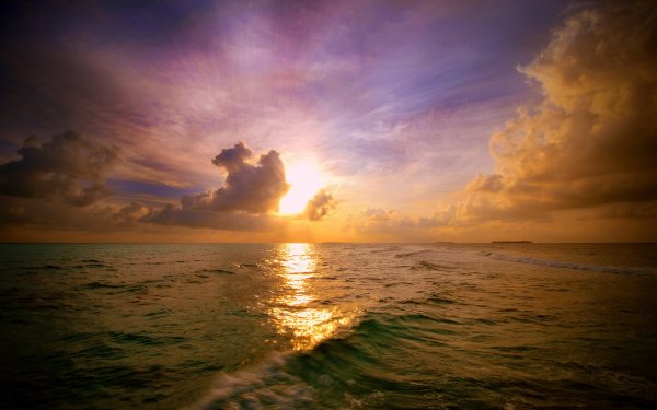 Wallpapers 1006