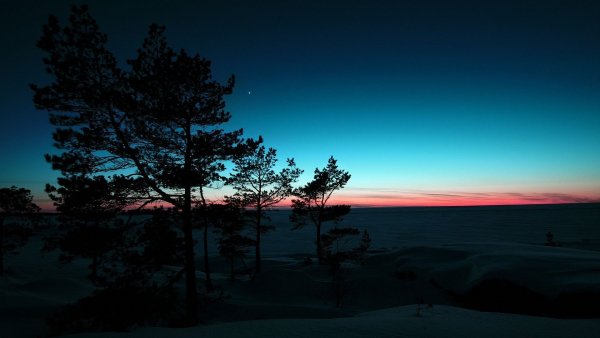 file_72565186