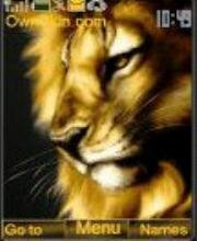Lion Лев царь