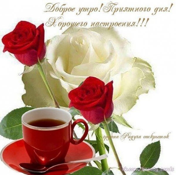 IMG 20200521 200310