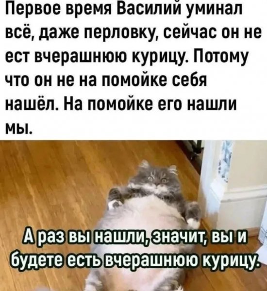 IMG 20260721 171129