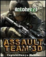 Assault Team 3D