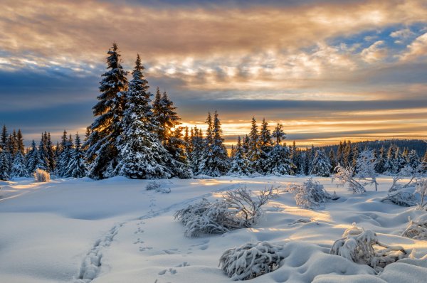 lillehammer-norvegiia-norway-zima