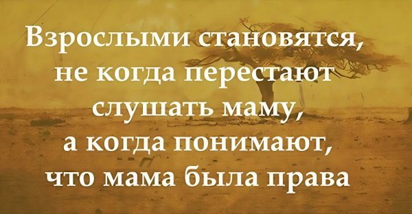 IMG 20240915 205329