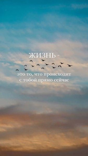D86cbe4d5227f99374add77217502dc9