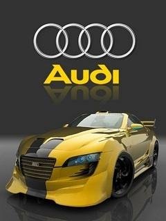 Audi sport