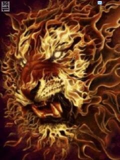 Tigr fire анимация