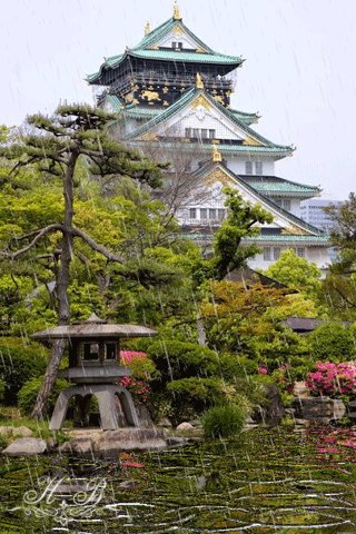 file_52640976