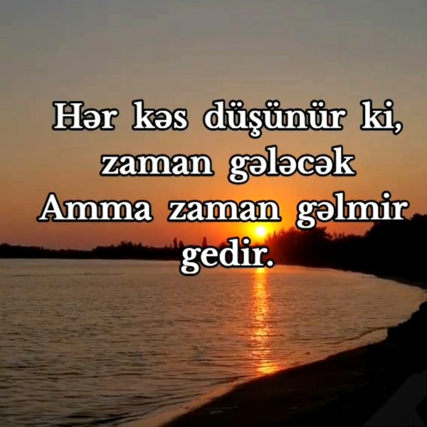 file_101384345