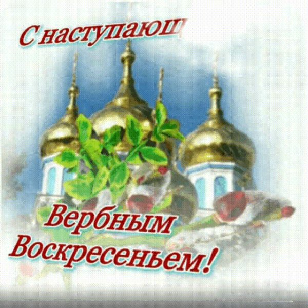 IMG 20240501 000552