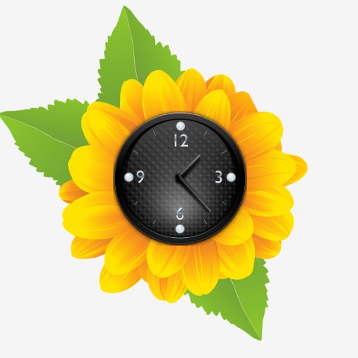 Sunflower clock