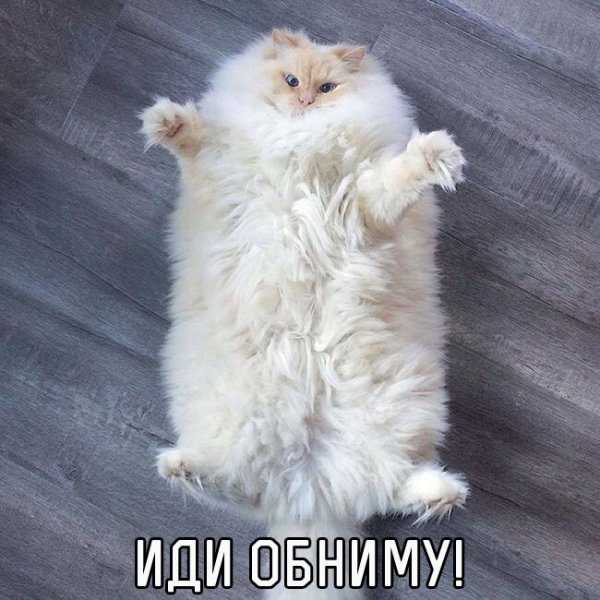 6YZEm02p6MA