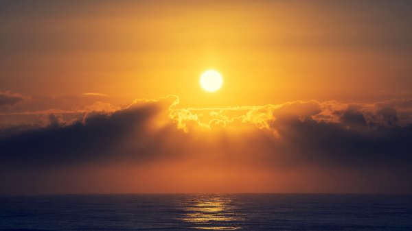 file_99291400