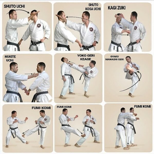 karate arte