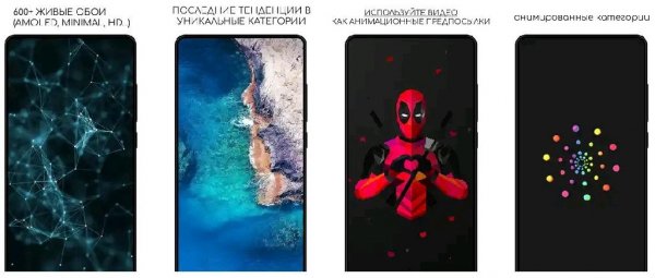 Live Wallpapers HD &amp; Backgrounds 4k-3D - WALLOOP v9.6 [Pr