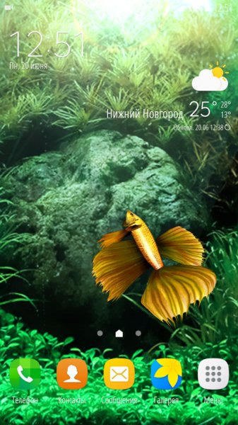 Gold Betta Fish Live Wallpaper - v1.0