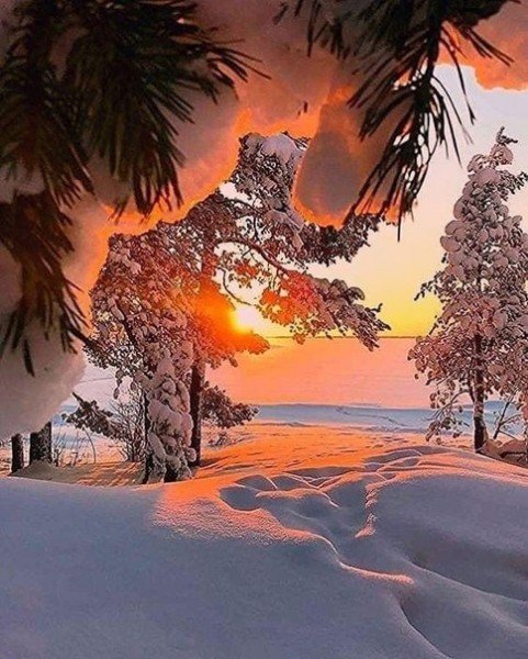 file_95448722