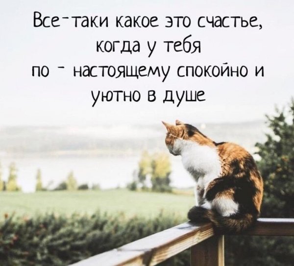 IMG 20200712 092952