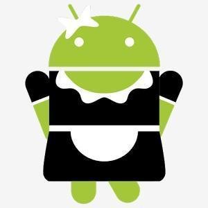 SD Maid Pro v4.7.6.arm