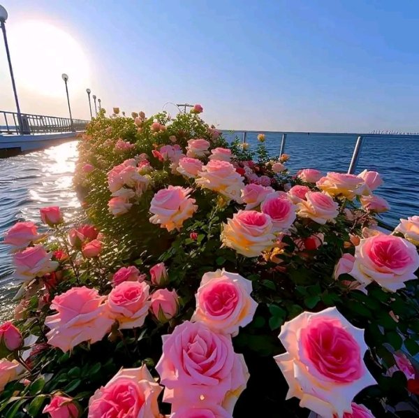 file_95694981