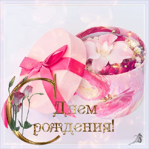 День Рождения 035
