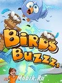 Birds Buzzz